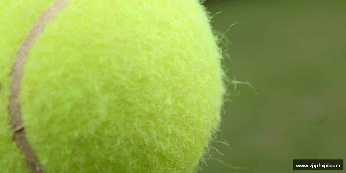 球速体育平台挑战极限，勇于胜利。